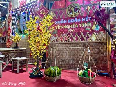 Cây Mai Vàng thân gỗ Cao 130 - 140cm CAYCANH-TET-02